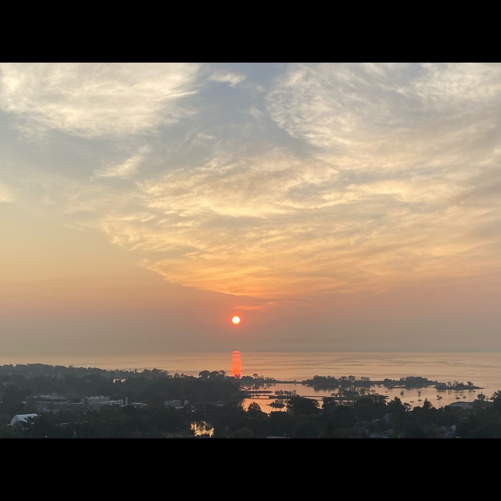 Meet your Posher, Jane